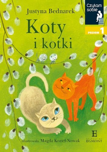  okładka książki: Koty i kotki 