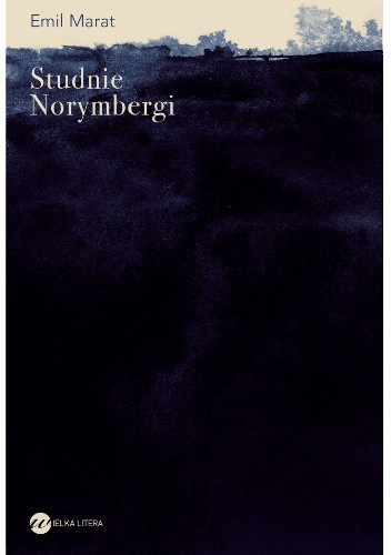  okładka książki: Studnie Norymbergi 