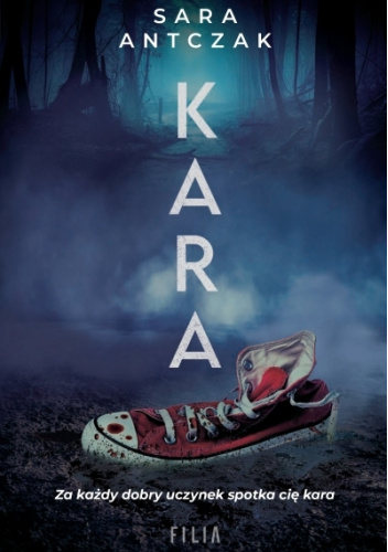  okładka książki: Kara 